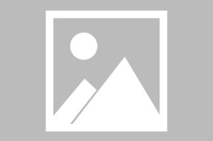 谈球吧体育官网入口张军：安洗莹是很难得的天才，我们中国女单的优势是团队优势